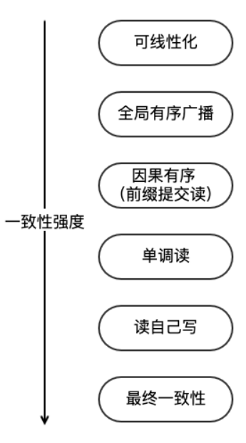 一致性的等级